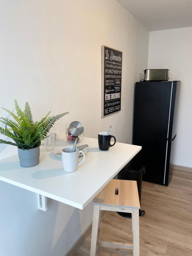 Appartement Du Grand Parc Châteauroux エクステリア 写真